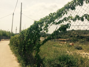 Fotografia del lloc on s'ubicarà l'aparcament d'autobusos