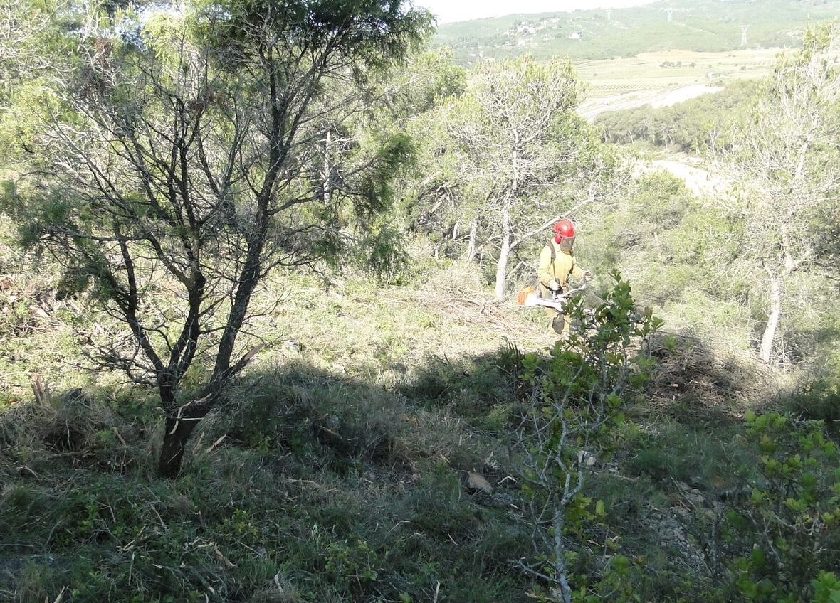 L’Ajuntament ha fet un conveni de col.laboració social per contractar una persona perquè desbrossi zones verdes del municipi