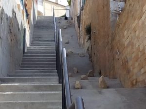 PAS CARRERS CAN GORDEI 2