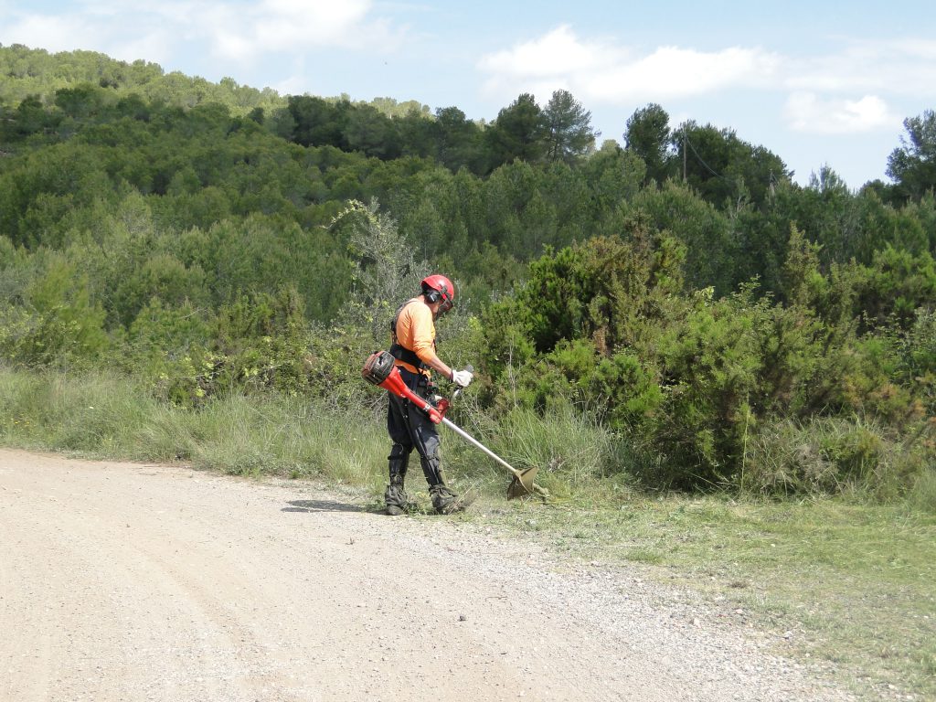desbrossament la masieta