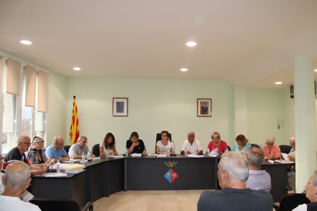 PLE ORDINARI 17 SETEMBRE 2018