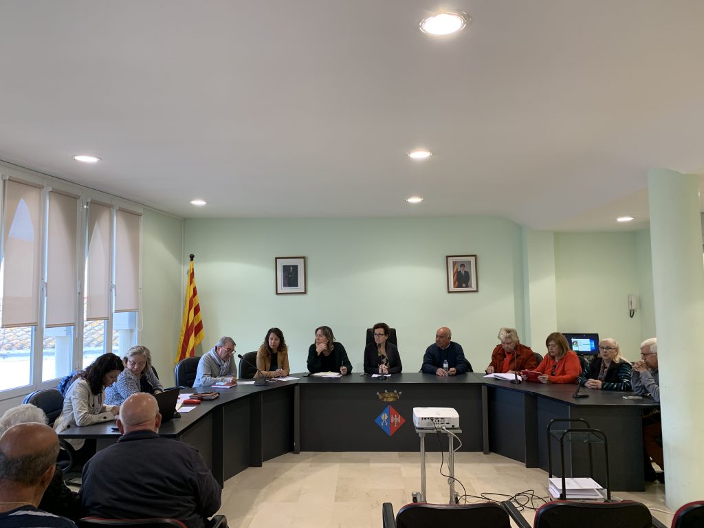 PLE EXTRAORDINARI 01-04-2019