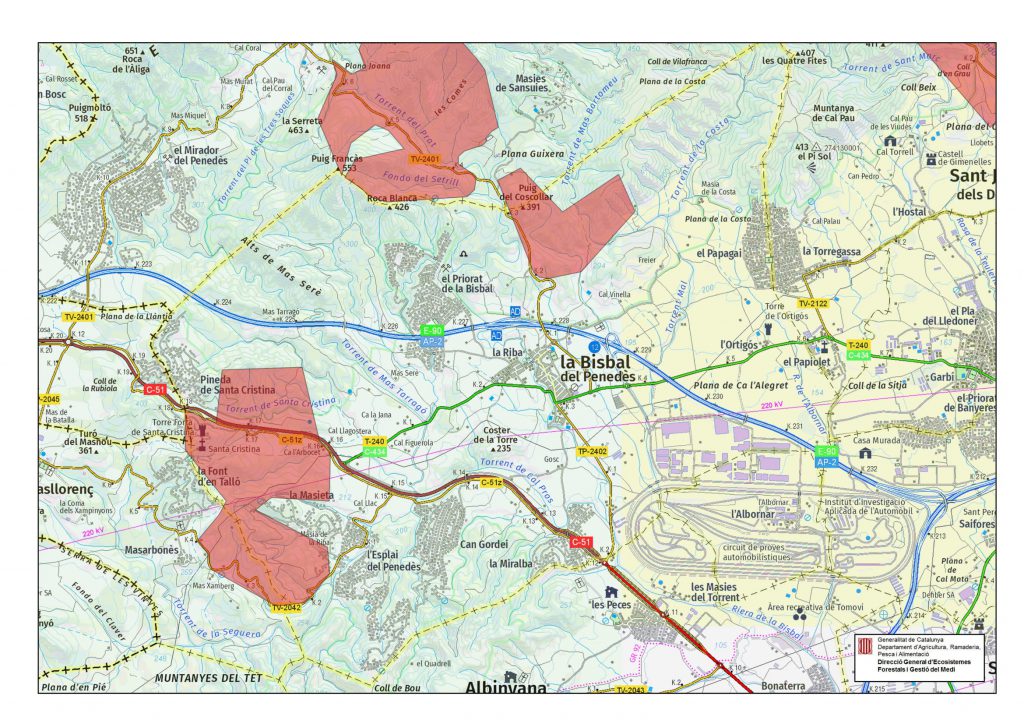 44_BisbalPenedesPROCESSIONARIA-1