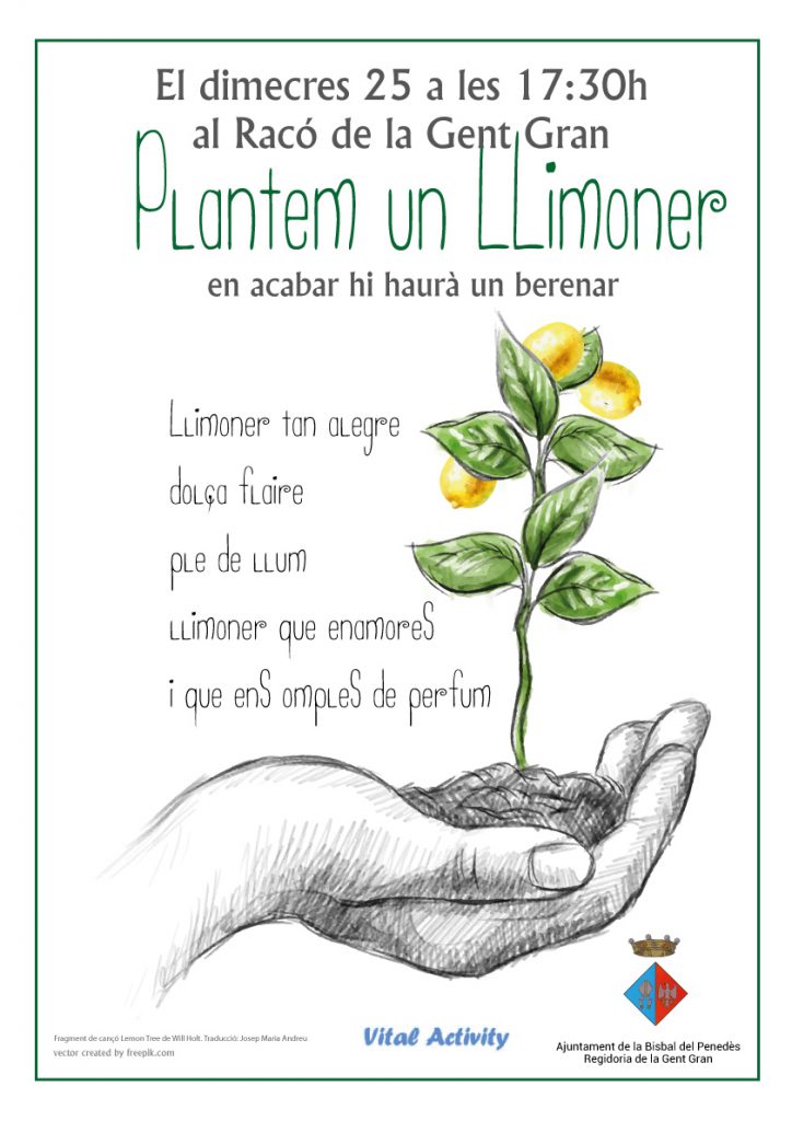 PLANTEM_LLIMONER_2