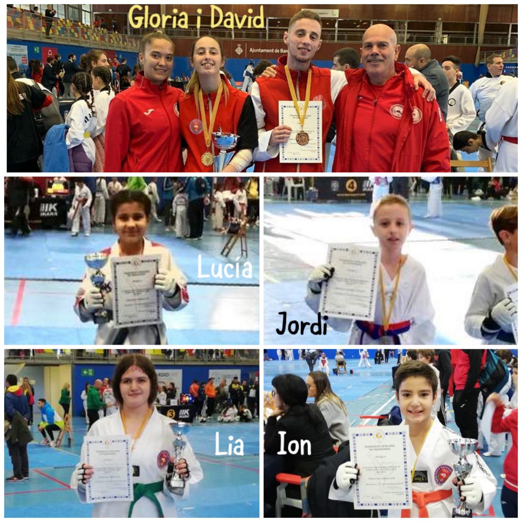taekwondo olimpic collage desembre 2019