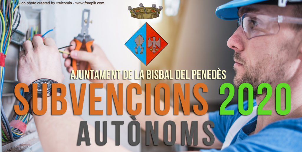 SUBVENCIONS_2020_AUTONOMS