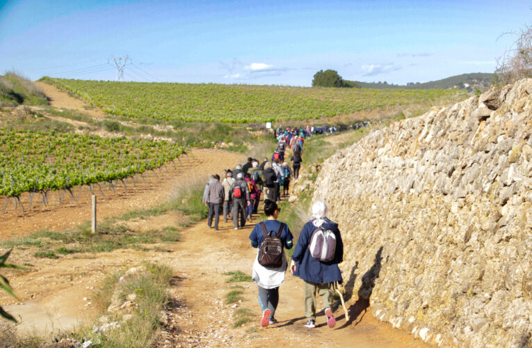 Prop de 150 persones han gaudit de la Transhumant aquest dimecres 1 de maig