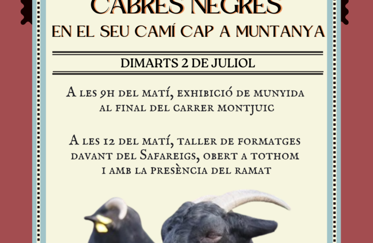 El pròxim dimarts 2 de juliol podreu viure el món de la transhumància en directe