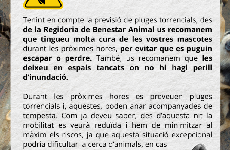 Extremeu les precaucions amb les mascotes: deixeu-les en un lloc segur i no inundable i eviteu que es puguin escapar o perdre