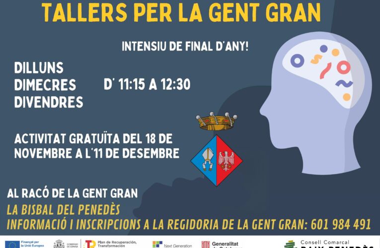 Tallers gratuïts de noves tecnologies per a la gent gran