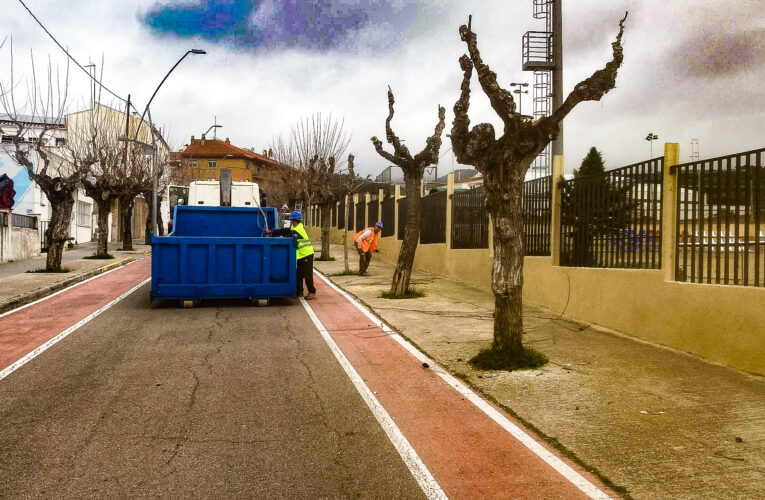 La setmana passada van començar els treballs de poda a tot el municipi