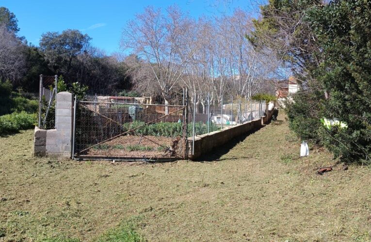 Aquesta setmana han començat els treballs de recuperació al tram periurbà de la riera gràcies a les subvencions que atorga la Diputació de Tarragona que permeten contractar personal de centres especials de treball i iniciativa social i empreses d’inserció sociolaboral per a la conservació i millora d’espais naturals