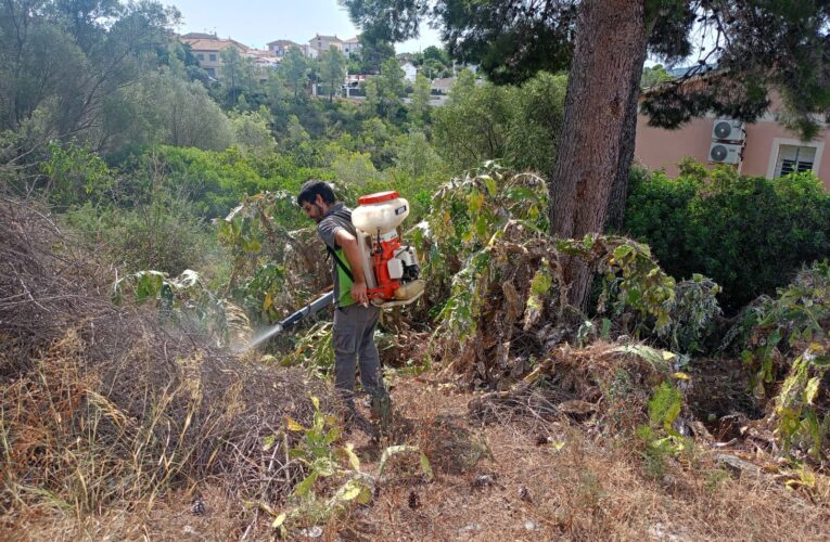 L’Ajuntament ha dut a terme un tractament contra la mosca blanca de la cotxinilla del carmí en diverses zones del Priorat