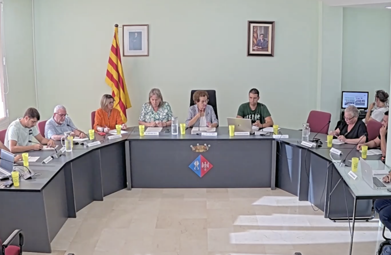 Punts tractats en el Ple ordinari del 15 de setembre de 2025