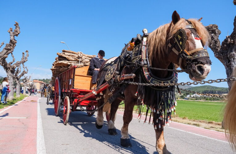 La Bisbal del Penedès celebra una nova edició dels Tres Tombs