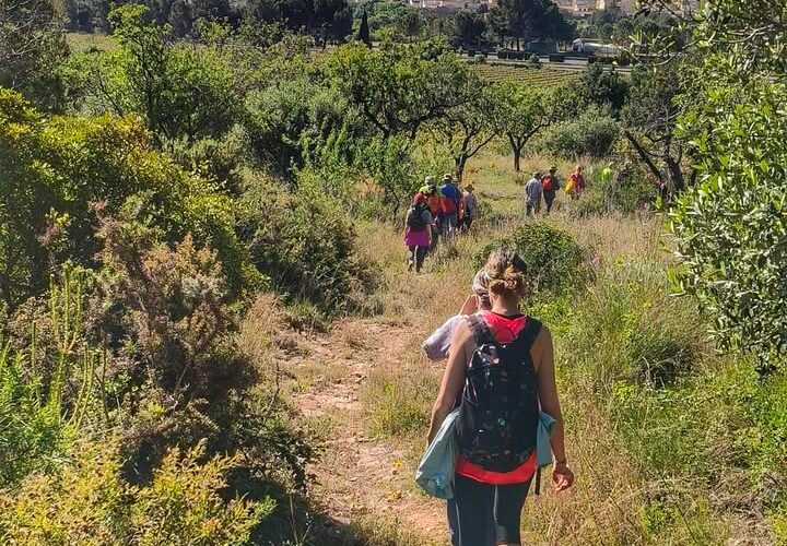 Prop d’una trentena de persones participen en la caminada saludable del Consultori mèdic de la Bisbal del Penedès
