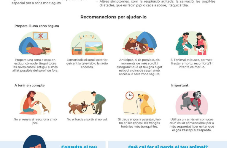 Els petards també afecten els animals: recomanacions per a la revetlla de Sant Joan