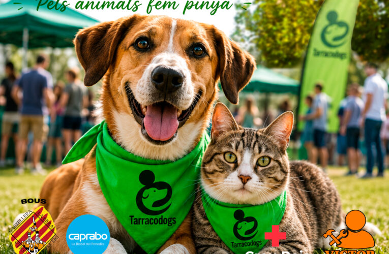 La Bisbal del Penedès acollirà la I Fira Animalista Tarracodogs aquest dissabte 12 de setembre