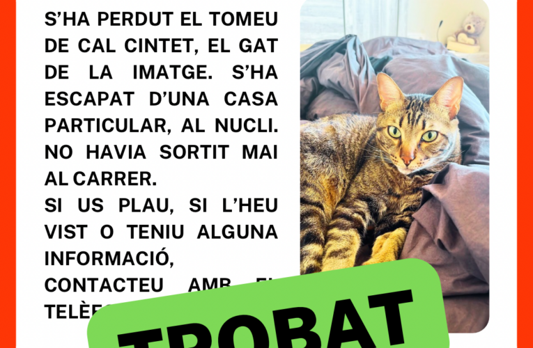 En Tomeu —el gat de Cal Cintet— ja torna a ser a casa