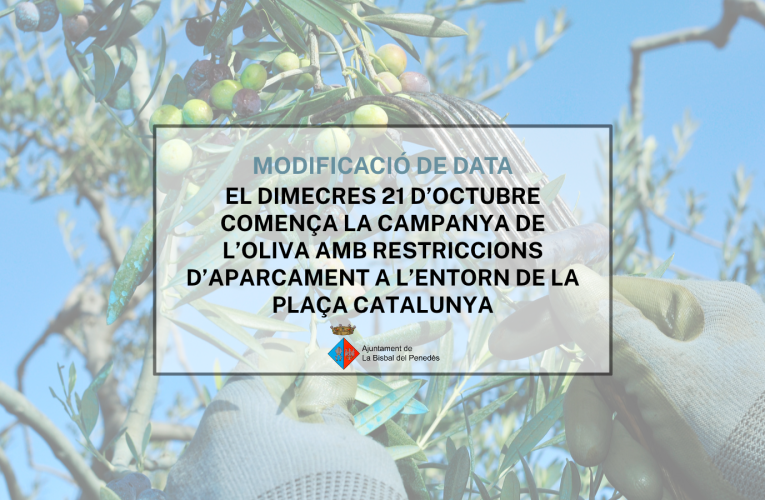 La campanya de l’oliva començarà finalment dimecres 21 d’octubre a causa de la pluja