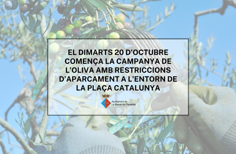 Dimarts 20 d’octubre comença la campanya de l’oliva amb restriccions d’aparcament a l’entorn de la plaça Catalunya